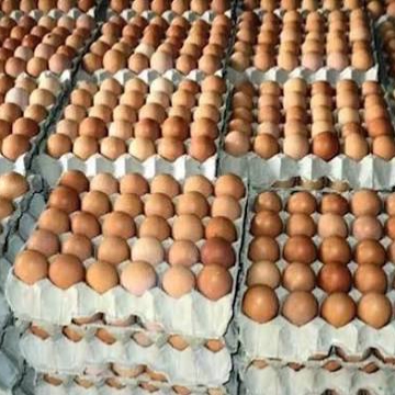 Fresh Farm Eggs